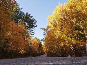 Sonbaharın Renkleri Görsel Şölene Dönüştü