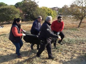 Kayıp Emekli Uzman Çavuş Boş Arazide Ölü Olarak Bulundu