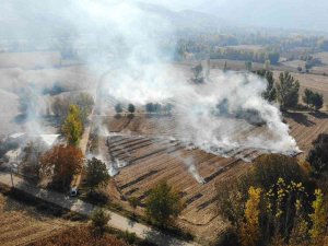 Mısır Hasadı Bitti, Anız Yangınları Başladı