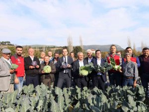 Muğla’da Kışlık Sebze Üretimi Projesinde Hasat Zamanı