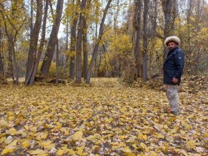 Yozgat’ta Sonbaharın Sarı Rengi Mest Etti