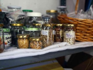 ‘Yerel Tohum Sokağı’ Filiz Vermeye Başladı