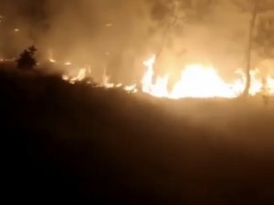 Bursa’da Ormanlık Alanda Korkutan Yangın