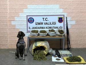 Ağaç Kovukları Ve Parkelerin Altına Uyuşturucu Gizlemişler