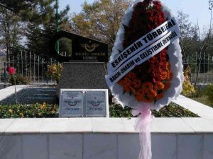 Behiç Erkin’in Mezarının Bakım, Onarım Ve Tadilatı Yapıldı