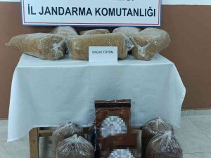 Yolcu Otobüsünde Taşınan 60 Kilo Kaçak Tütün ‘Zarif’e Takıldı