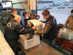 Marmarabirlik’ten 45 Milyon Liralık Ödeme