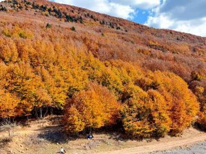 Kahramanmaraş Sonbaharda Renk Cümbüşüne Döndü