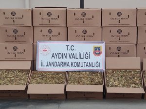 Nazilli’de 720 Kilo Kaçak Tütün Ele Geçirildi