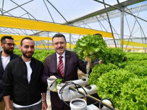 Genç: “Trabzon’un Tarımda Dışarıya Bağımlılığı En Aza İnmeli”