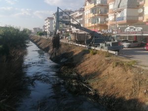 Balık Ölümleriyle Gündeme Gelen Kanal Temizleniyor