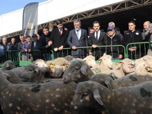 Büyükşehir Belediye Üreticiyi Desteklemeye Devam Ediyor