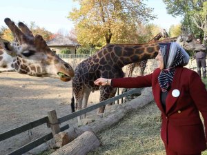 Bursa Hayvanat Bahçesi 24 Yaşında