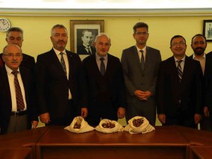 19 Mayıs’a ’Kestane Ormanı’ Kurulacak