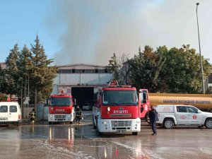 Tekstil Fabrikasında Çıkan Yangın Gıda Deposuna Sıçradı
