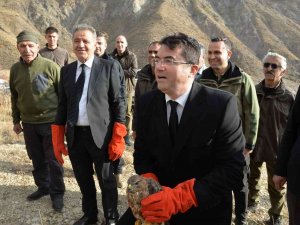 Tedavisi Tamamlanan Dağ Keçileri Ve Kuşlar Doğaya Bırakıldı