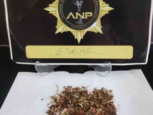 Narko Ekipler, Zehir Tacirlerine Göz Açtırmıyor