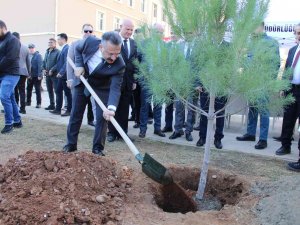 Aydın’da 109 Bin Fidan Toprakla Buluştu