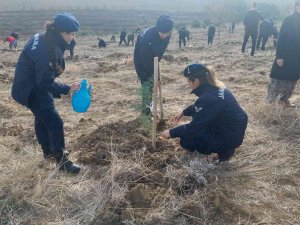 Tekirdağ’da 1 Yılda 693 Bin Fidan Dikilecek