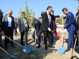 Kozan’da Yüzlerce Fidan Toprakla Buluştu