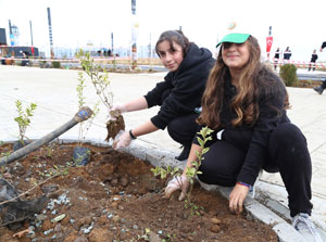 Rize'de Milli Ağaçlandırma Günü'nde fidanlar toprakla buluşturuldu