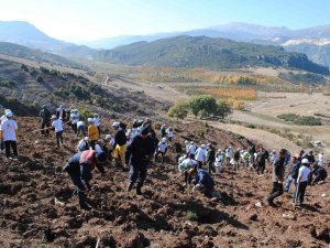 Eğirdir’de 2 Bin Fidan Toprakla Buluştu