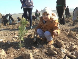 Eskişehir’de 49 Bin Fidan Toprakla Buluştu