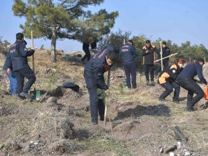 Kayseri Büyükşehir, 11.11’de 5 Bin Fidan İle Geleceğe Nefes Oldu