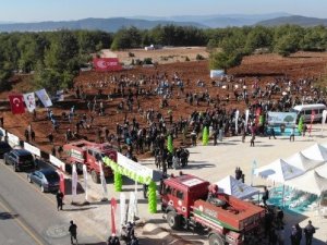 Muğla’da 253 Bin Fidan Toprakla Buluştu