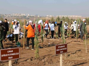 Yüzde 24’ü Ormanlık Olan Diyarbakır’a 4 Bin Yeni Fidan