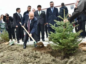 Samsun’da 100 Bin Fidan Toprakla Buluştu