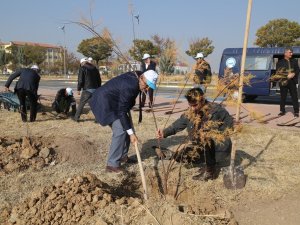 Asü’de 435 Fidan Toprakla Buluşturuldu