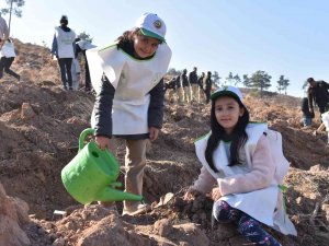 Sındırgı’da Binlerce Fidan Toprakla Buluştu