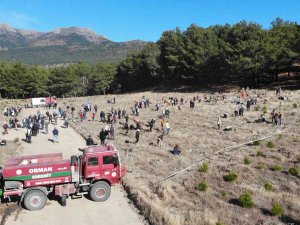 Kazdağları’nda Mili Ağaçlandırma Günü’nde Fidanlar Toprak İle Buluştu