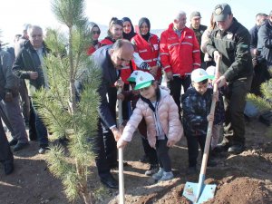 Konya’da ’Türkiye Yüzyılına Nefes’ İçin 70 Bin Fidan Toprakla Buluştu