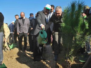 İ̇zmir’de 42 Bin Fidan Toprakla Buluştu