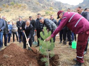 Tunceli’de 20 Bin Fidan Toprakla Buluşturuldu
