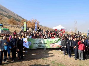 Talas’ta Şenlik Gibi Ağaçlandırma Günü
