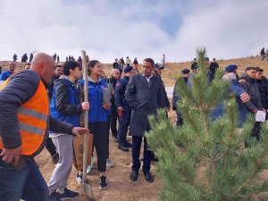 Eski Maden Ocağı Yeşerecek