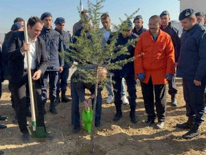 Bolvadin’de 600 Fidan Toprakla Buluştu