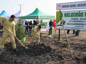 Edirne’de 8 Ayrı Noktada 32 Bin Fidan Toprakla Buluştu
