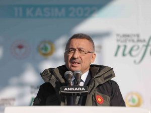 Cumhurbaşkanı Yardımcısı Oktay: “600 Milyon Fidanı Yıl Bitmeden Toprakla Buluşturmuş Olacağız”