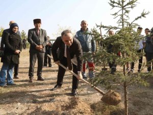 11 Kasım Milli Ağaçlandırma Günü’nde Fidanlar Erü’de Toprakla Buluştu