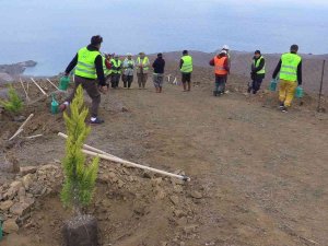 Bandırma’da 15 Bin Fidan Dikildi