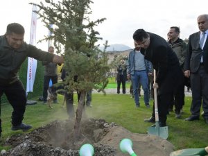 Doğa Harikası Tortum Şelalesi’nin Çehresi Yeni Dikilen Fidanlarla Değişecek