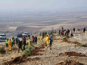 Adıyaman’da, Fidanlar Toprakla Buluşturuldu