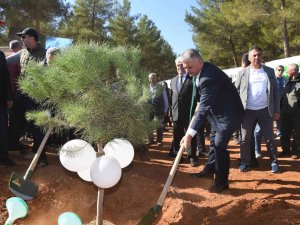 30 Dönümlük Alanda 3 Bin 500 Adet Kızılçam, Mazı Ve Fıstık Fidanı Dikildi