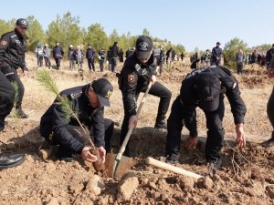 “Türkiye Yüzyılına Nefes” İçin 500 Fidan Toprakla Buluşturuldu