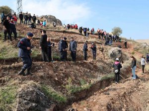 Tokat’ta, 8 Bin Fidan Toprakla Buluştu