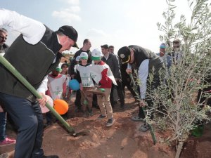 Şanlıurfa’da Binlerce Fidan Toprakla Buluşturuldu